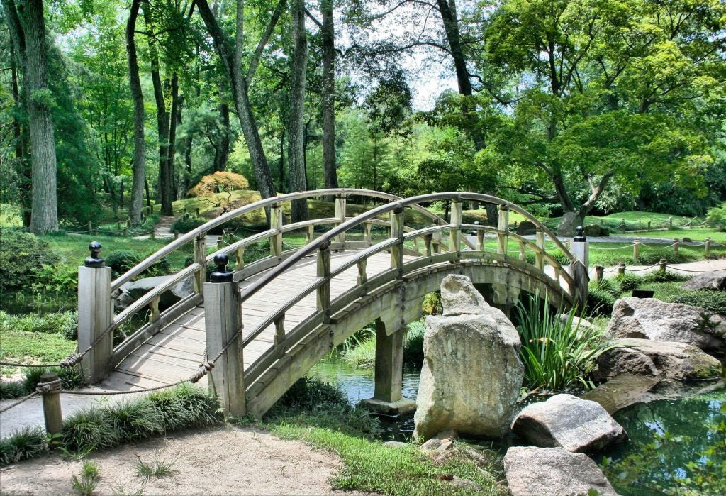 Scenary