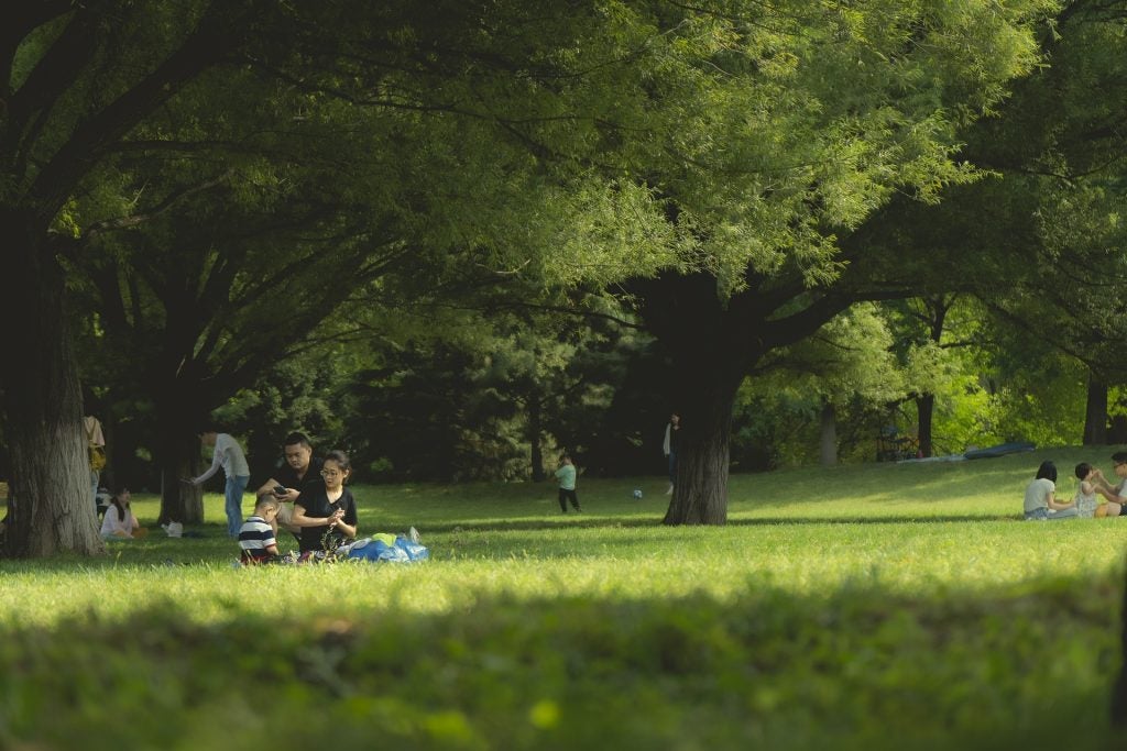 picnic temecula ca