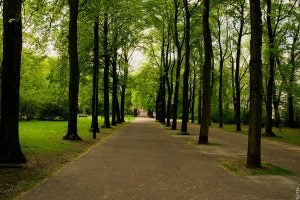 park