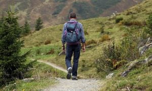 Hiker along trail