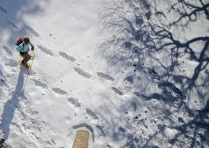 Snow Shoeing