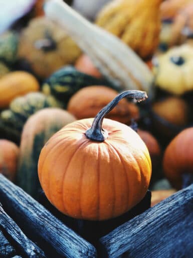 autumn 