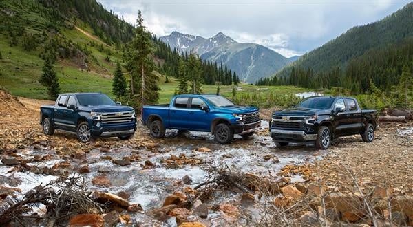 Chevy Silverado 1500 for Sale Farmington Hills MI