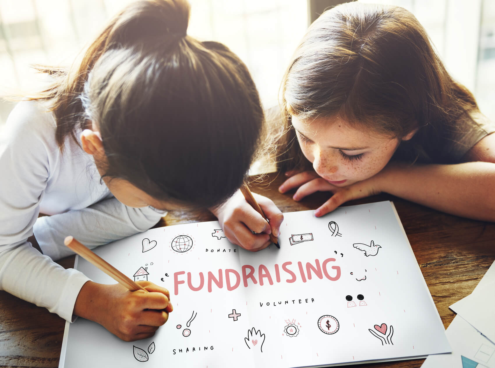 Fundraising for Novi Educational Foundation Novi, MI