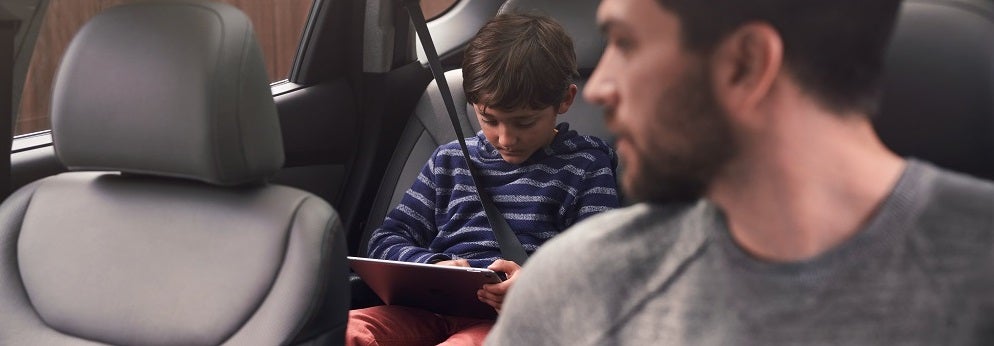 Hyundai Santa Fe Safety 