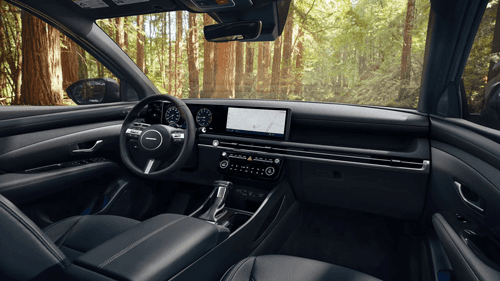 Santa Cruz Interior