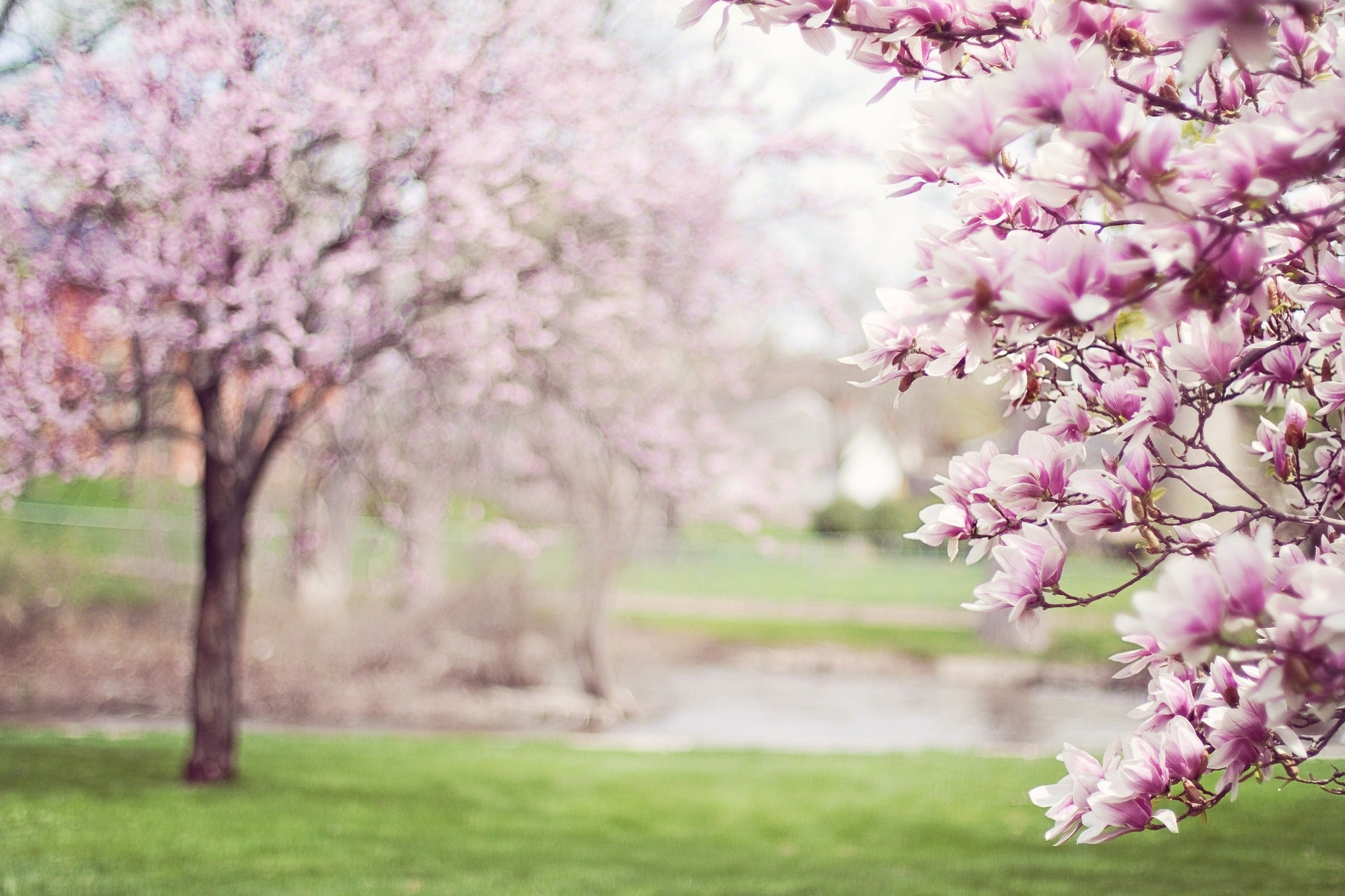 3 Fun Spring Activities