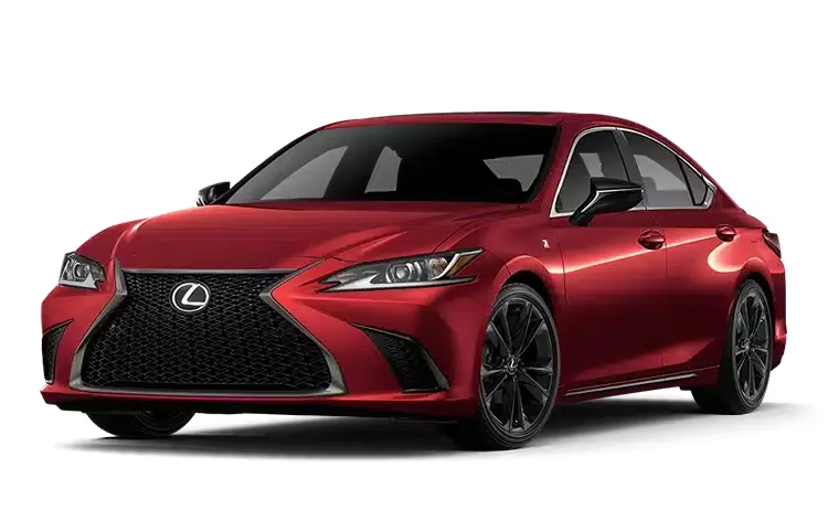 Black Line Special Edition