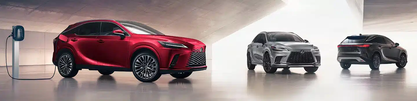 2025 Lexus RX Trims