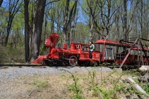 5 Amazing Outdoor Activities Near Silver Spring, MD