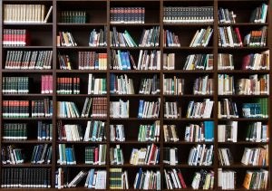 Bookstores in Orange Park, FL