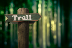 Trail sign | Fox Lexus of El Paso in El Paso, TX