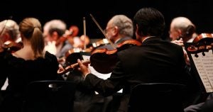 Orchestra | Fox Lexus of El Paso in El Paso, TX
