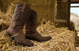 Cowboy boots | Fox Lexus of El Paso in El Paso, TX