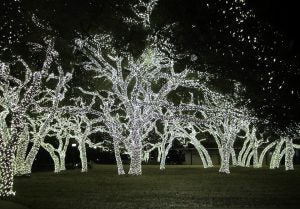 Christmas in Fredericksburg, TX