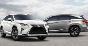 A white and a silver 2019 Lexus RX.