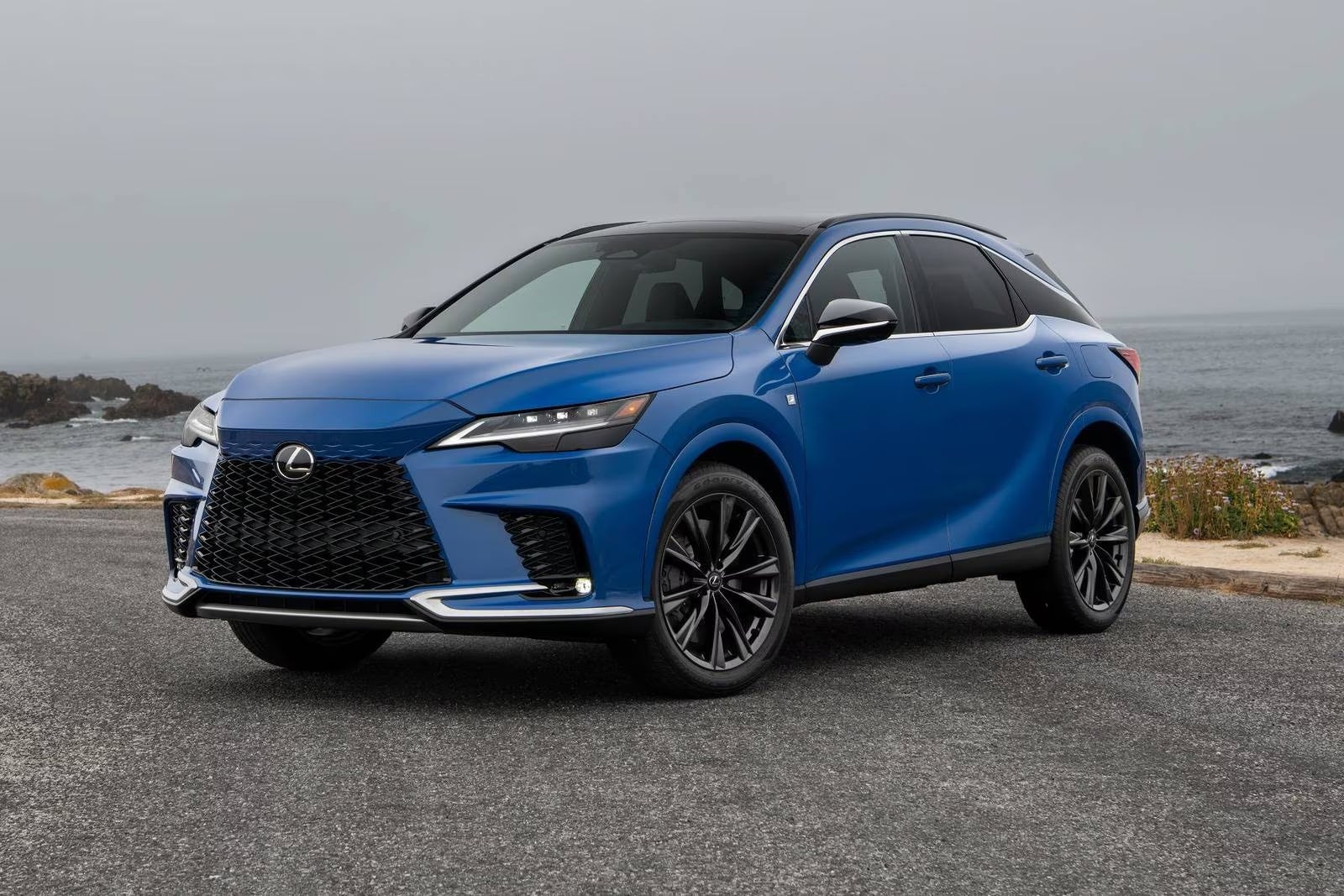 2025 Lexus RX