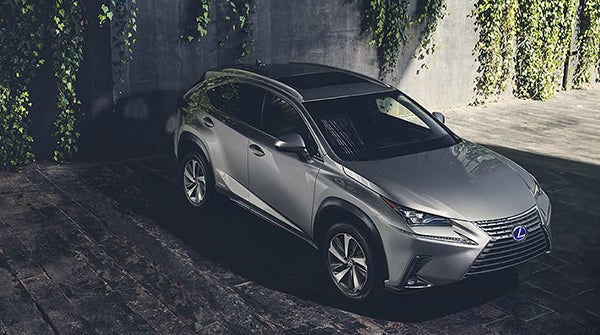 Grey Lexus NXH 300 Hybrid