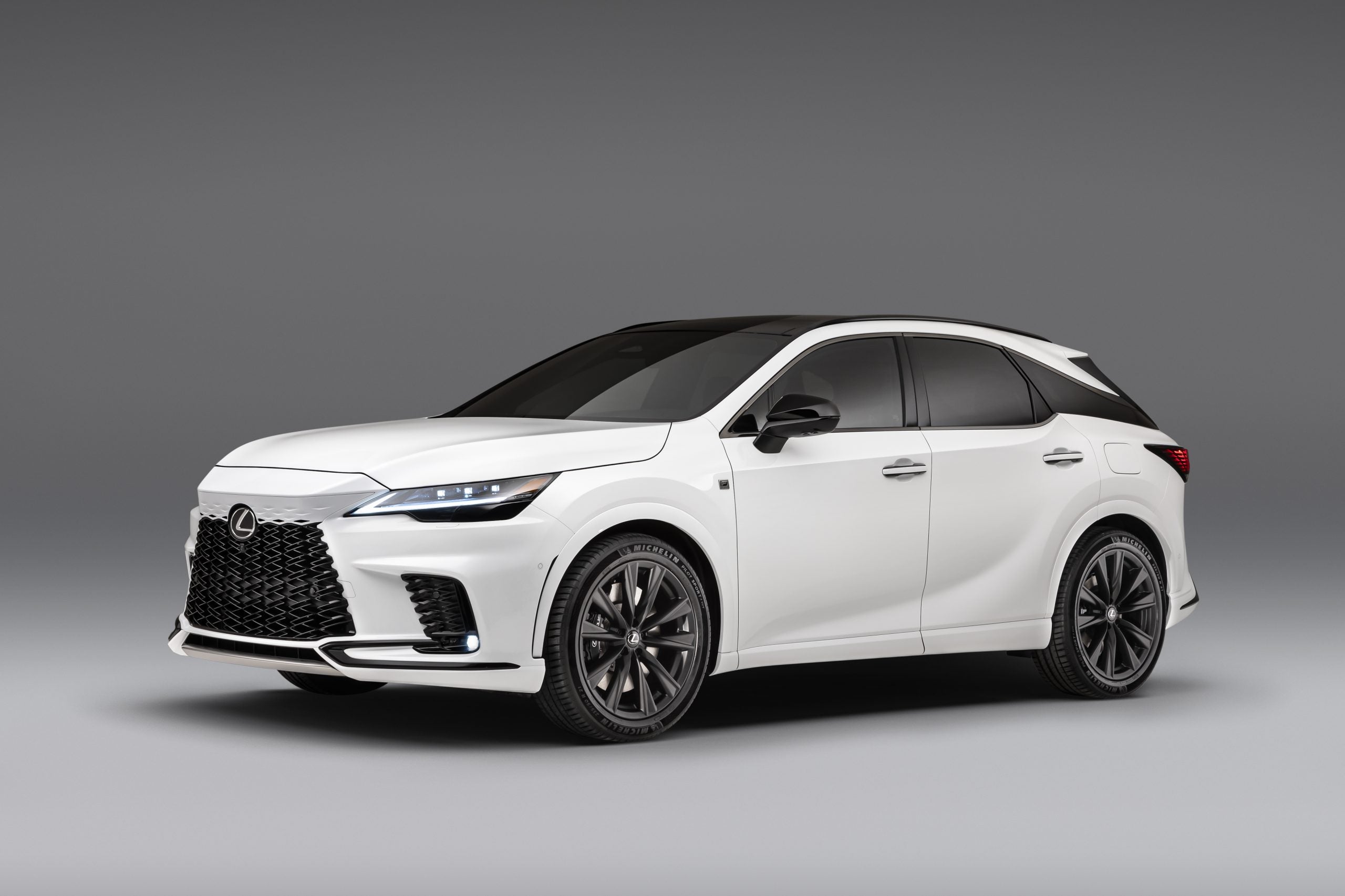 2023 Lexus RX white
