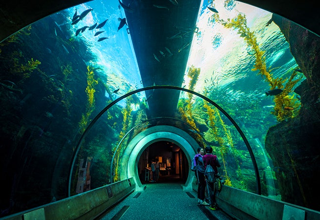 California Science Center