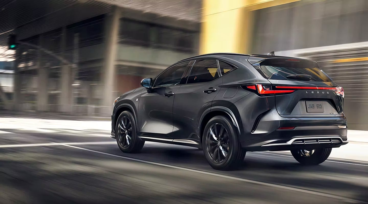 2024 Lexus NX back