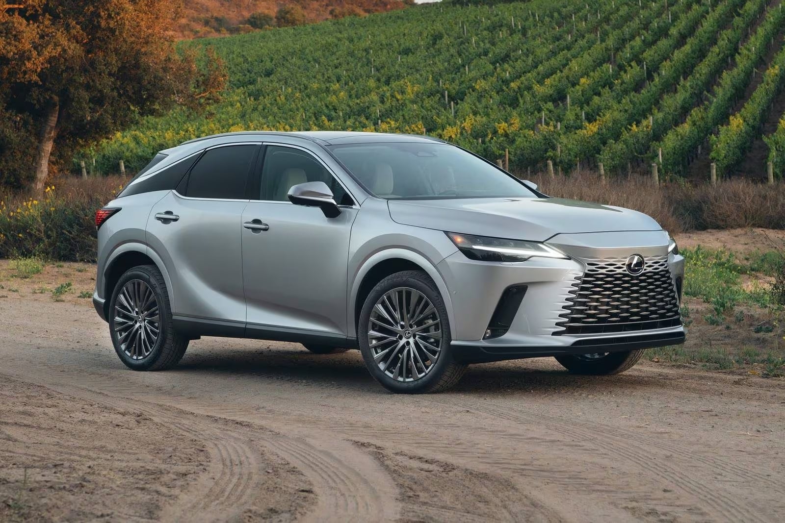 2024 Lexus RX 350