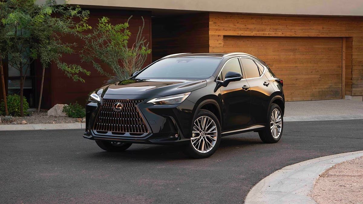 2024 Lexus NX