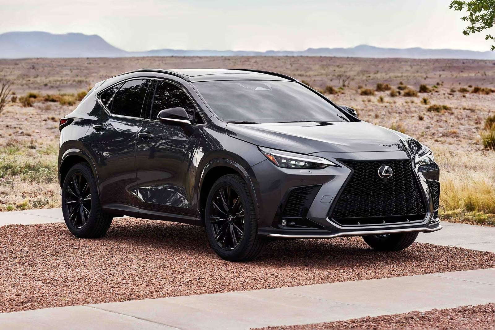 2026 Lexus Lineup