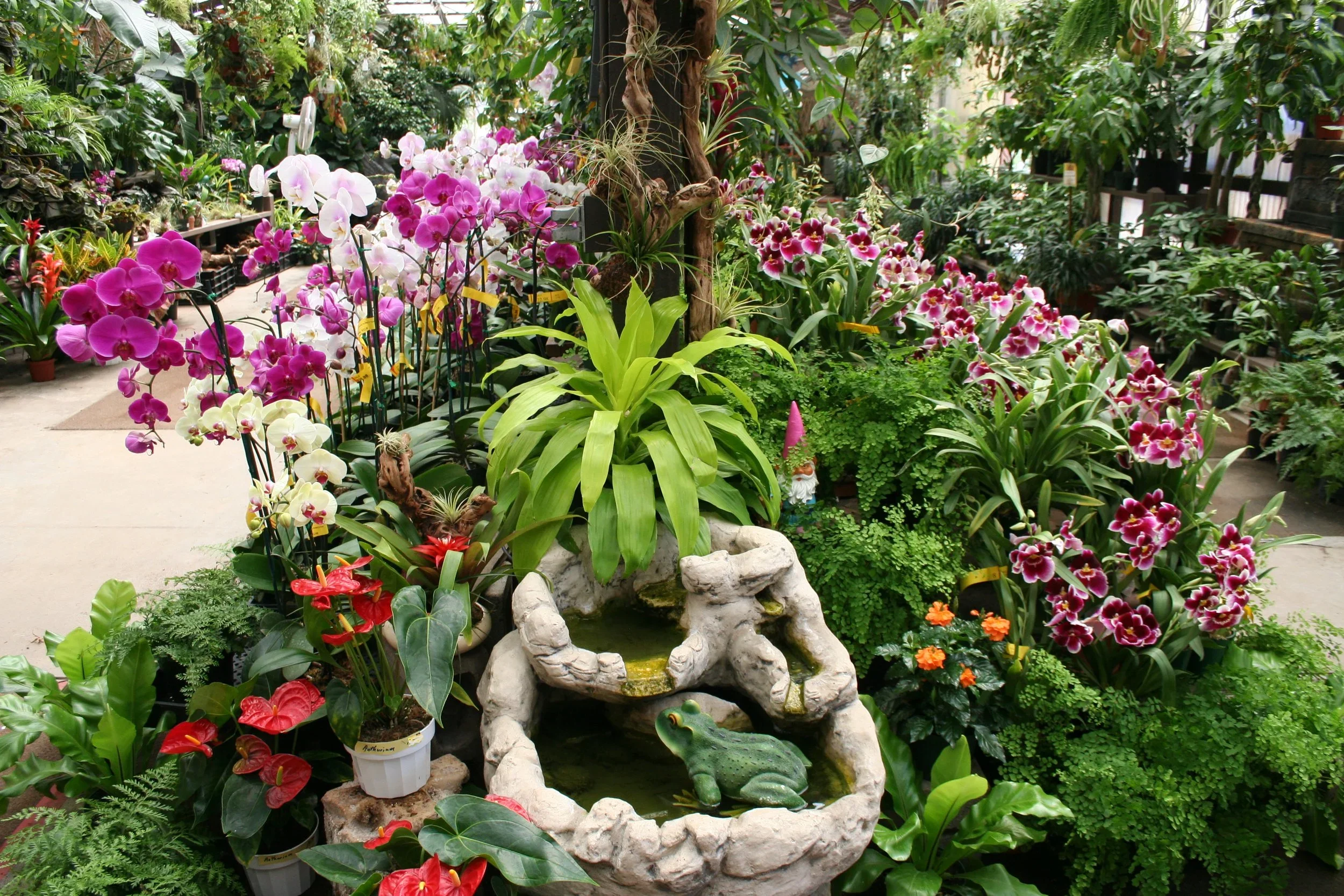 If you’ve got a soft spot for leafy things, dreamy succulents, or sculptural fiddle-leaf figs, then Arcadia is a pretty great place to call home.