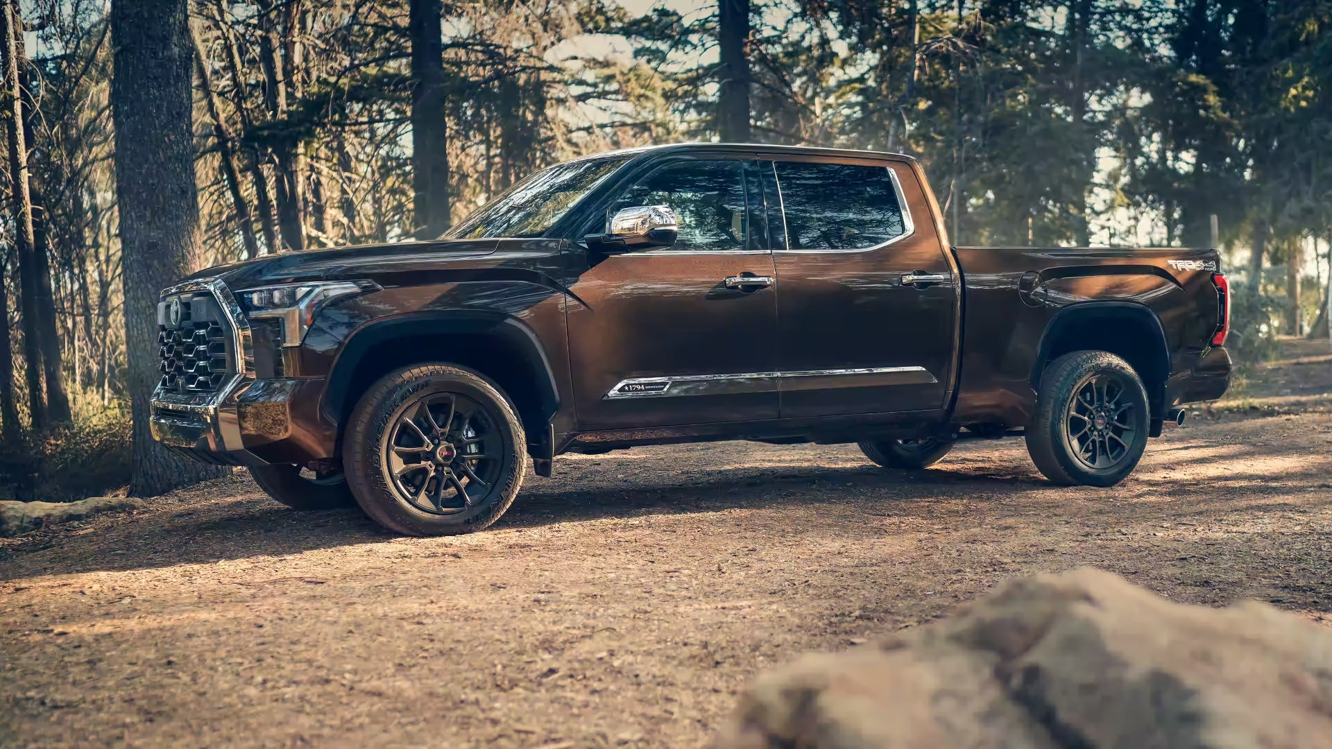 2023 Brown Toyota Tundra