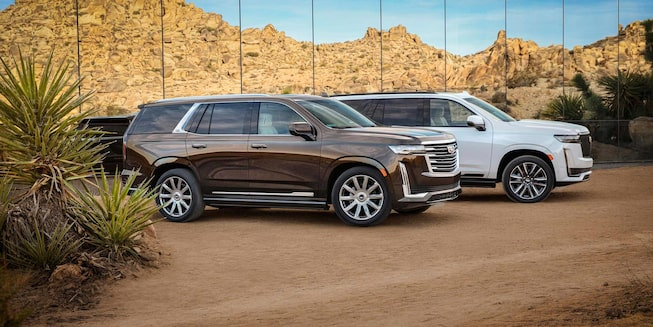 Caddilac SUvs on a dirt road