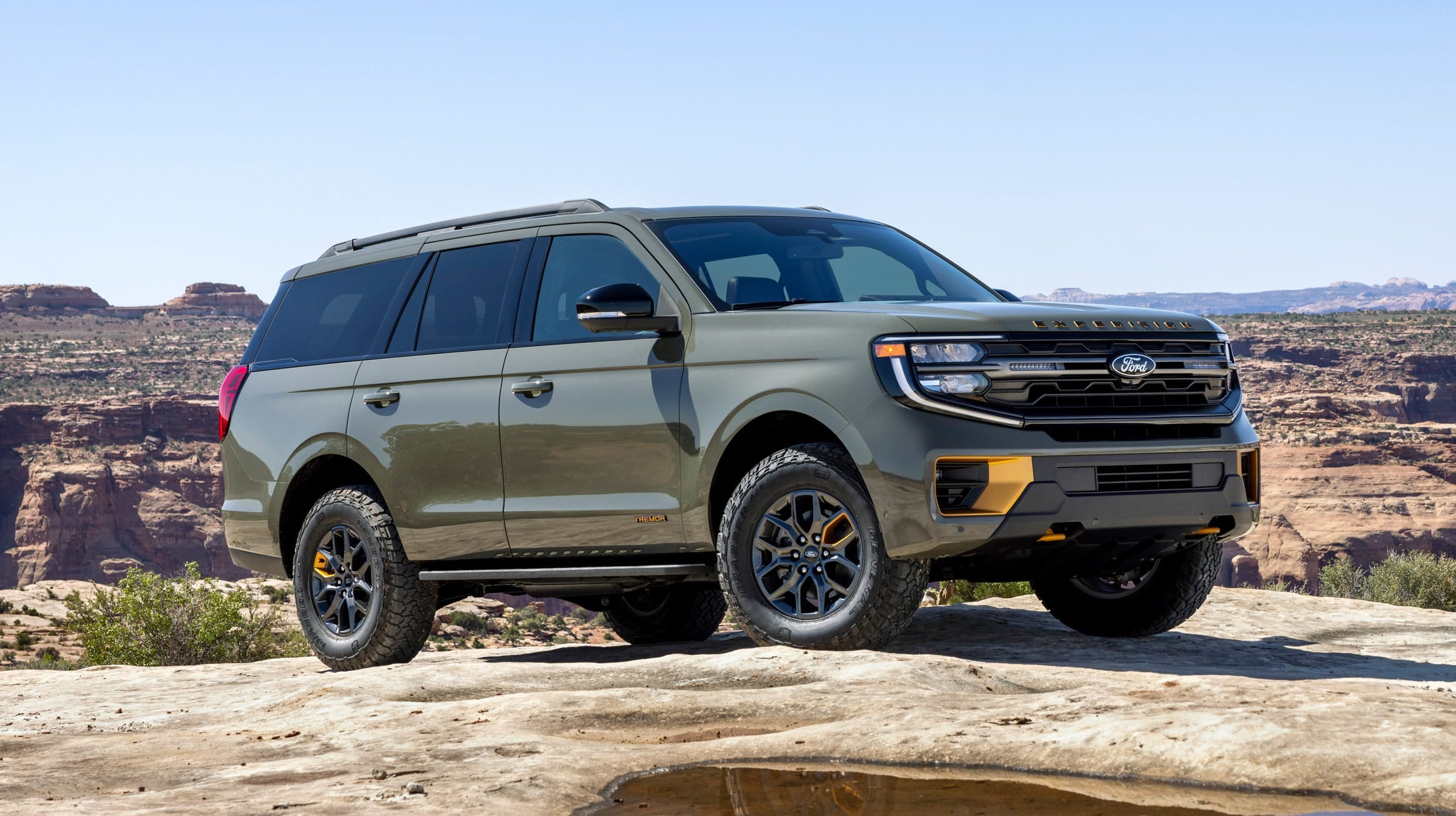 2026 Ford Expedition For Sale In Texas