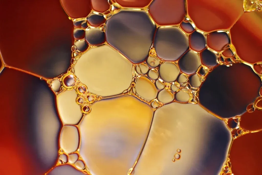 oil change in kerrville texas 