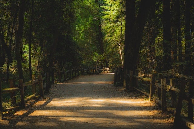State Parks