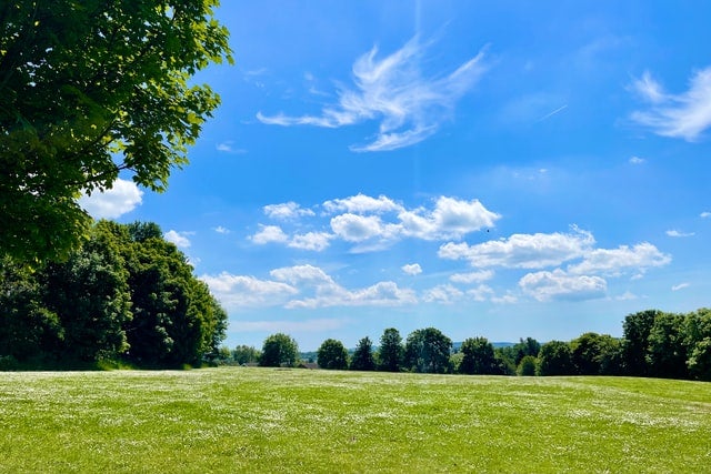 Park