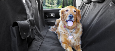 Pet seat cover