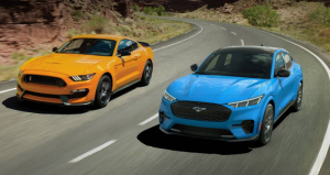 Ford Mustangs
