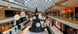Christmas Shopping Clinton Township