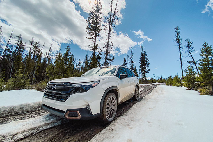 Subaru Drive - The 2025 Subaru Forester: Evolution in Motion