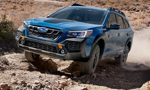 24 outback los angeles