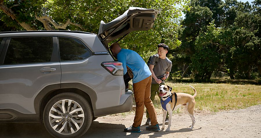 Subaru Power Liftgate