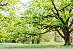 great parks near los angeles