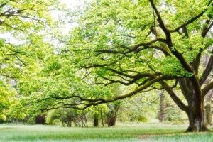 4 parks near santa clara, ca