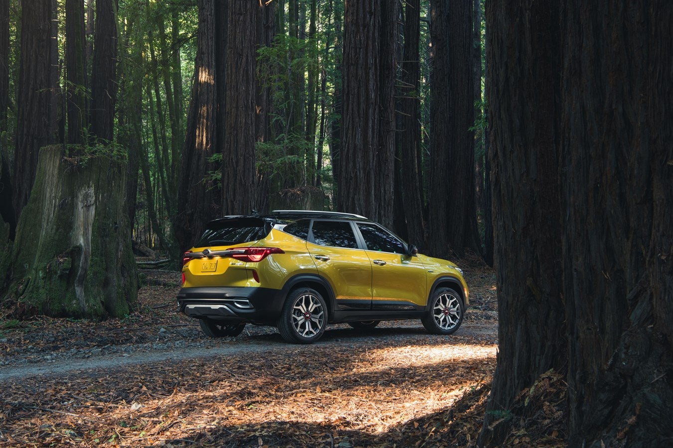 2021 Seltos trim levels