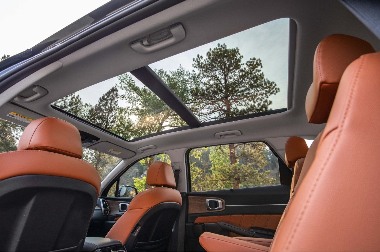 2021 Sorento Roof Area