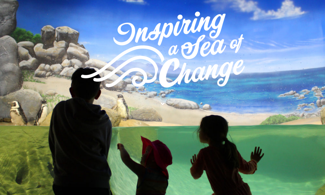 Family Indoor Activities: Local Aquarium