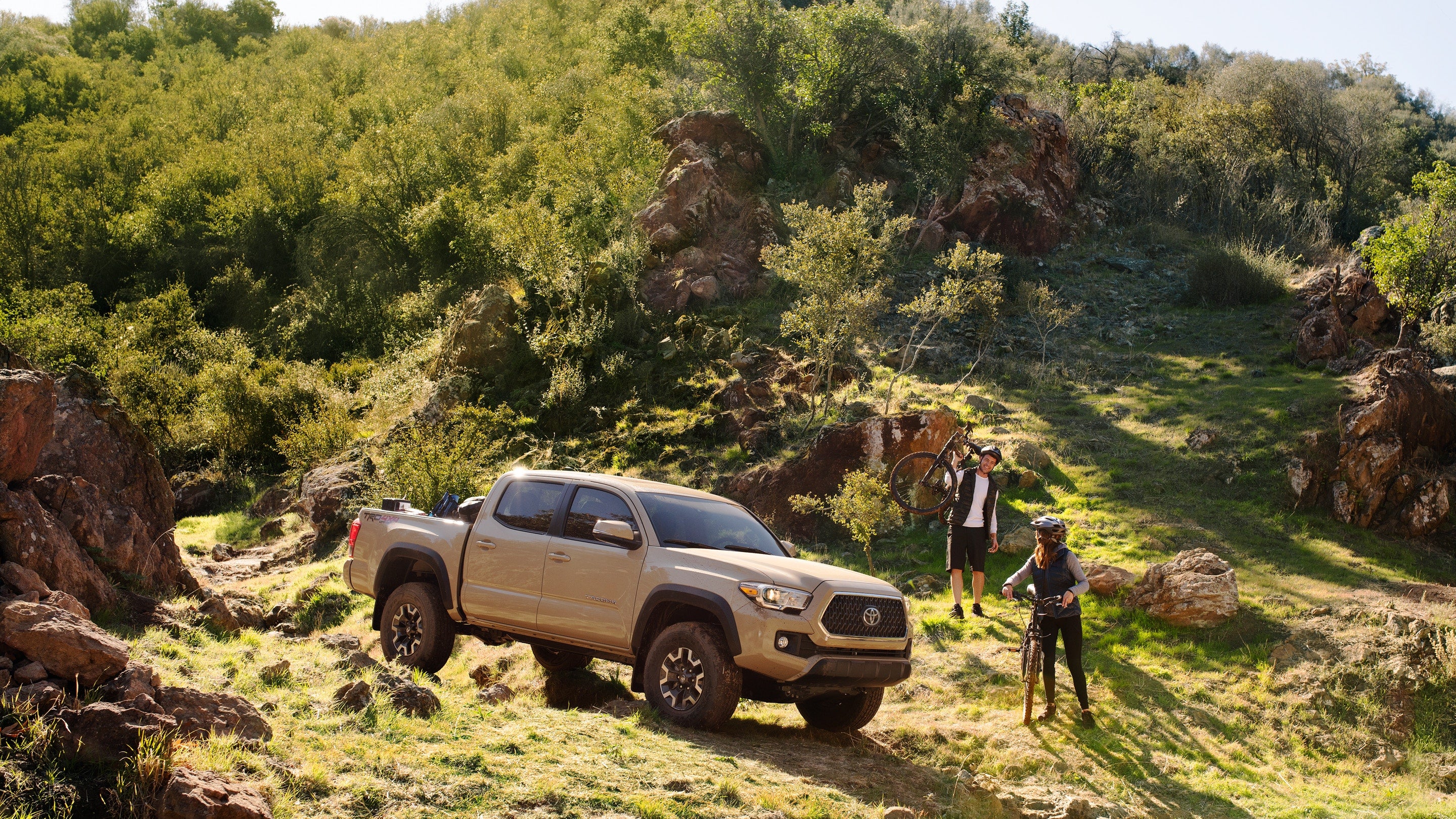 2019 Quicksand Toyota Tacoma
