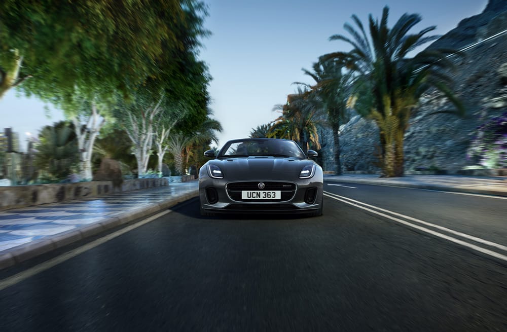 Dimmitt-Automotive-Jaguar-Clearwater-F-TYPE-2019