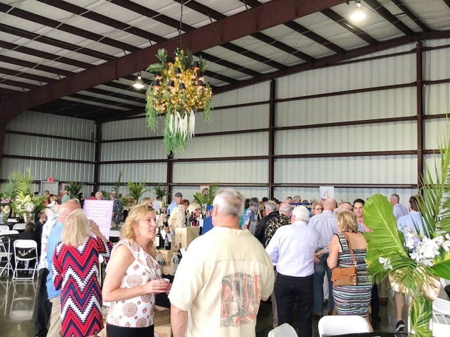 Dimmitt-Cares-Wings-Wheels-Wine-Clearwater
