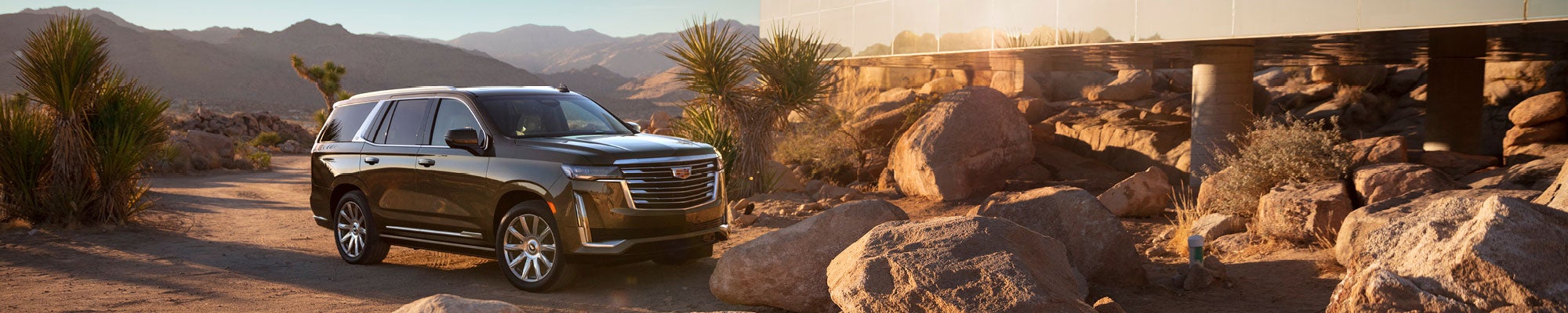2021-Escalade-Dimmitt-Automotive-Featured